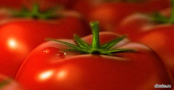 Как выращивать помидоры: в теплице, на подоконнике, рассаду