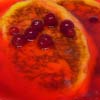 Как варить кисель из крахмала, варенья, ягод, порошка